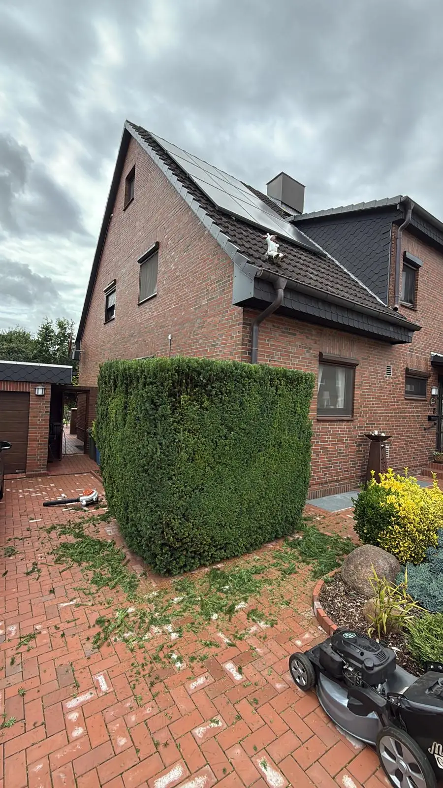 Formschön in Form geschnittene Thuja-Hecke an einem Wohnhaus